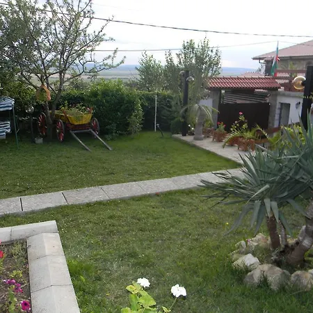Letuga Holiday *
